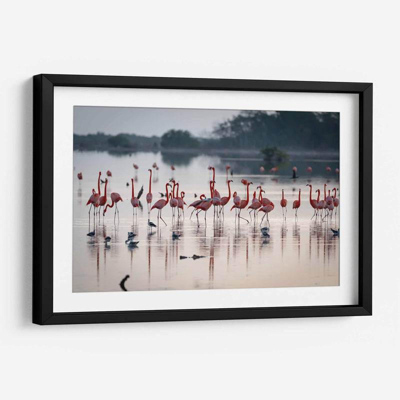 La danza de los flamencos - Claudia Luna | Cuadro decorativo de Canvas Lab