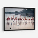 La danza de los flamencos - Claudia Luna | Cuadro decorativo de Canvas Lab