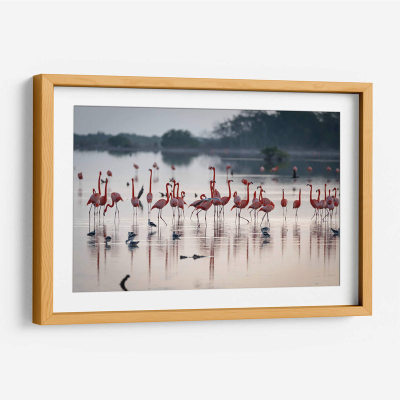 La danza de los flamencos - Claudia Luna | Cuadro decorativo de Canvas Lab