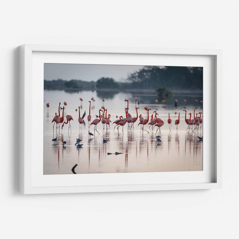 La danza de los flamencos - Claudia Luna | Cuadro decorativo de Canvas Lab