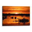 Atardecer en Yucatán - Claudia Luna | Cuadro decorativo de Canvas Lab