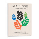 Matisse floral 15 - Vitor Costa | Cuadro decorativo de Canvas Lab
