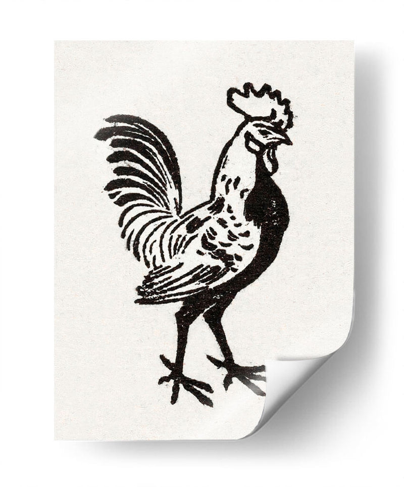 Gallo - I - Julie de Graag | Cuadro decorativo de Canvas Lab