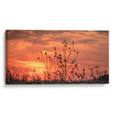 Atardeceres - Luis Arriaga | Cuadro decorativo de Canvas Lab