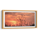 Atardeceres - Luis Arriaga | Cuadro decorativo de Canvas Lab