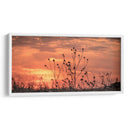 Atardeceres - Luis Arriaga | Cuadro decorativo de Canvas Lab