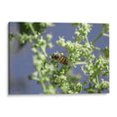 Guardian del polen. - Luis Arriaga | Cuadro decorativo de Canvas Lab