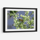 Guardian del polen. - Luis Arriaga | Cuadro decorativo de Canvas Lab