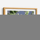 Guardian del polen. - Luis Arriaga | Cuadro decorativo de Canvas Lab