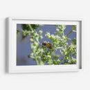 Guardian del polen. - Luis Arriaga | Cuadro decorativo de Canvas Lab