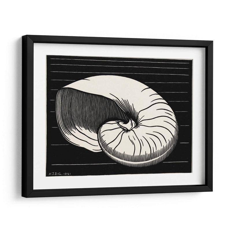 Concha - Julie de Graag | Cuadro decorativo de Canvas Lab