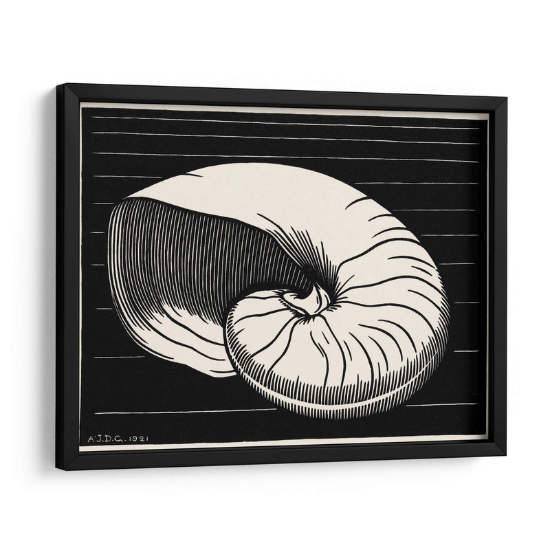 Concha - Julie de Graag | Cuadro decorativo de Canvas Lab