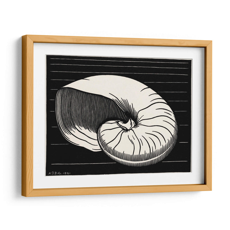 Concha - Julie de Graag | Cuadro decorativo de Canvas Lab