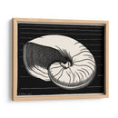 Concha - Julie de Graag | Cuadro decorativo de Canvas Lab