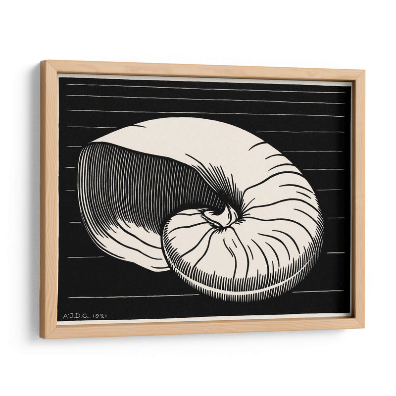 Concha - Julie de Graag | Cuadro decorativo de Canvas Lab