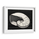 Concha - Julie de Graag | Cuadro decorativo de Canvas Lab