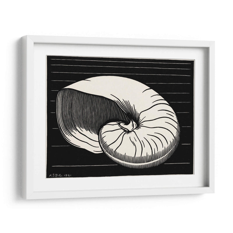 Concha - Julie de Graag | Cuadro decorativo de Canvas Lab