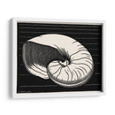 Concha - Julie de Graag | Cuadro decorativo de Canvas Lab