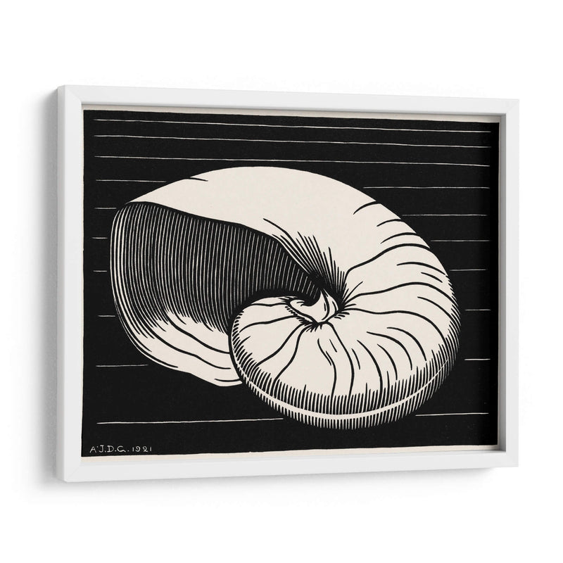 Concha - Julie de Graag | Cuadro decorativo de Canvas Lab