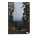 Mists in the Forest - Ani Coloca | Cuadro decorativo de Canvas Lab