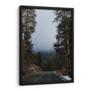 Mists in the Forest - Ani Coloca | Cuadro decorativo de Canvas Lab