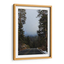 Mists in the Forest - Ani Coloca | Cuadro decorativo de Canvas Lab