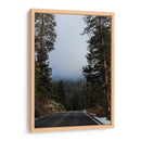 Mists in the Forest - Ani Coloca | Cuadro decorativo de Canvas Lab