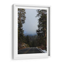 Mists in the Forest - Ani Coloca | Cuadro decorativo de Canvas Lab