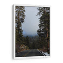 Mists in the Forest - Ani Coloca | Cuadro decorativo de Canvas Lab