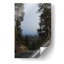 Mists in the Forest - Ani Coloca | Cuadro decorativo de Canvas Lab