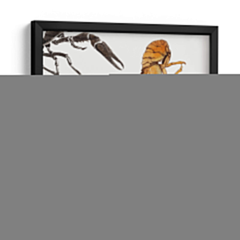 Bocetos de cangrejos de río - Julie de Graag | Cuadro decorativo de Canvas Lab