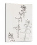 Bocetos de frondas - Julie de Graag | Cuadro decorativo de Canvas Lab