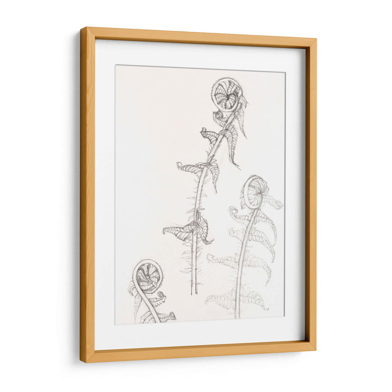 Bocetos de frondas - Julie de Graag | Cuadro decorativo de Canvas Lab