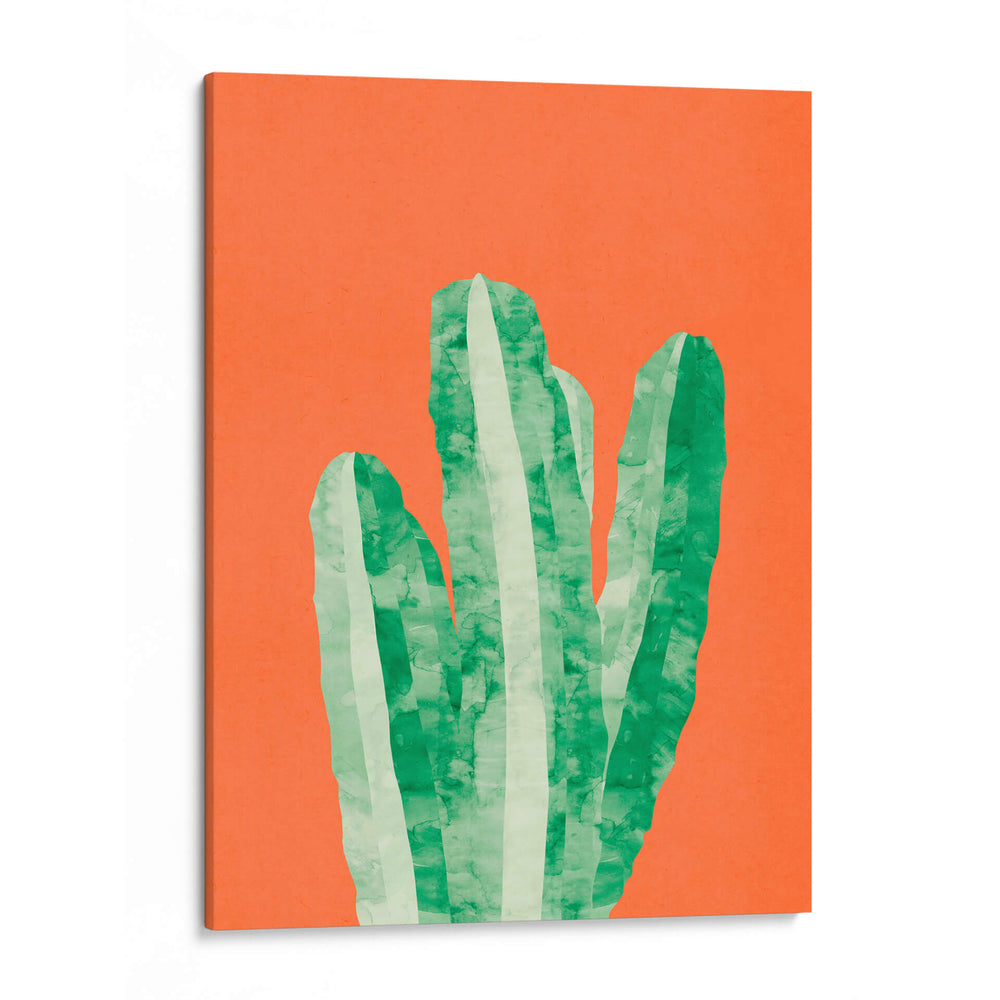 Cactus 2 - Vitor Costa | Cuadro decorativo de Canvas Lab
