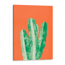 Cactus 2 - Vitor Costa | Cuadro decorativo de Canvas Lab