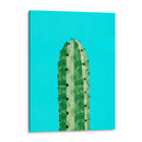 Cactus 3 - Vitor Costa | Cuadro decorativo de Canvas Lab