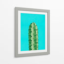 Cactus 3 - Vitor Costa | Cuadro decorativo de Canvas Lab