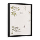 Bocetos de madera, anémona y violeta dulce - Julie de Graag | Cuadro decorativo de Canvas Lab