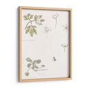 Bocetos de madera, anémona y violeta dulce - Julie de Graag | Cuadro decorativo de Canvas Lab