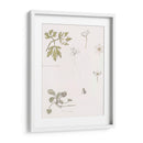 Bocetos de madera, anémona y violeta dulce - Julie de Graag | Cuadro decorativo de Canvas Lab