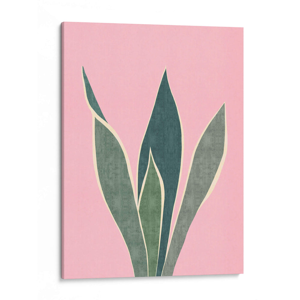 Cactus 4 - Vitor Costa | Cuadro decorativo de Canvas Lab