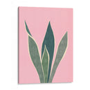 Cactus 4 - Vitor Costa | Cuadro decorativo de Canvas Lab