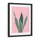 Cactus 4 - Vitor Costa | Cuadro decorativo de Canvas Lab