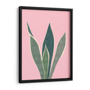 Cactus 4 - Vitor Costa | Cuadro decorativo de Canvas Lab