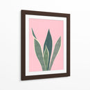 Cactus 4 - Vitor Costa | Cuadro decorativo de Canvas Lab