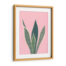 Cactus 4 - Vitor Costa | Cuadro decorativo de Canvas Lab