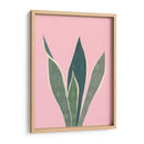 Cactus 4 - Vitor Costa | Cuadro decorativo de Canvas Lab