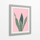 Cactus 4 - Vitor Costa | Cuadro decorativo de Canvas Lab