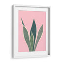 Cactus 4 - Vitor Costa | Cuadro decorativo de Canvas Lab