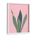 Cactus 4 - Vitor Costa | Cuadro decorativo de Canvas Lab